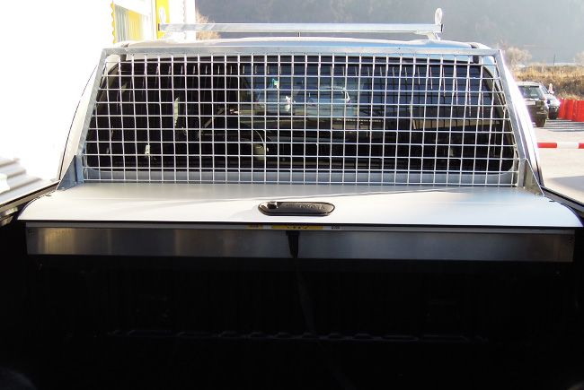 Grille de protection pour vitre arrière